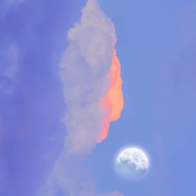 Lance Gokongwei avatar