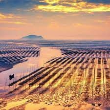 Sandy Andolong avatar